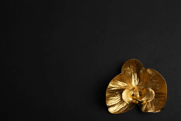 Золотой декоративный цветок орхидеи на черном фоне, вид сверху. Пространство для текста — стоковое фото