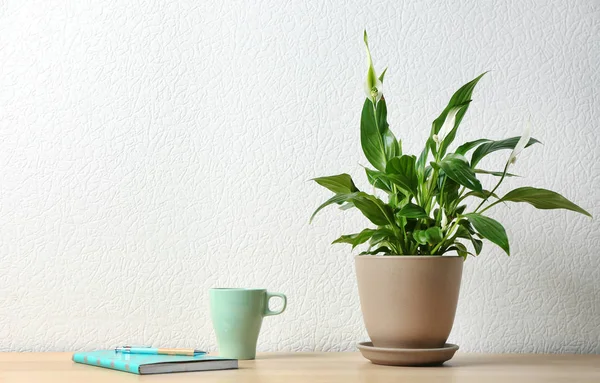 Planta de lirio de paz maceta, taza y cuaderno en la mesa de madera cerca de la pared blanca. Espacio para texto — Foto de Stock