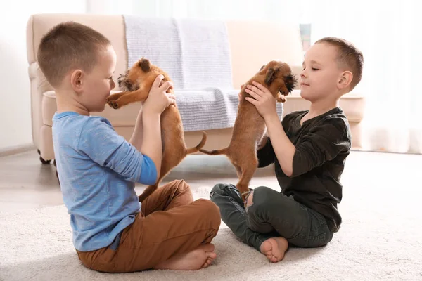 Portrait de garçons mignons avec des chiens Griffon Bruxelles drôles à la maison. Des amis loyaux — Photo