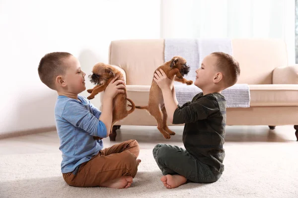 Portrait de garçons mignons avec des chiens Griffon Bruxelles drôles à la maison. Des amis loyaux — Photo