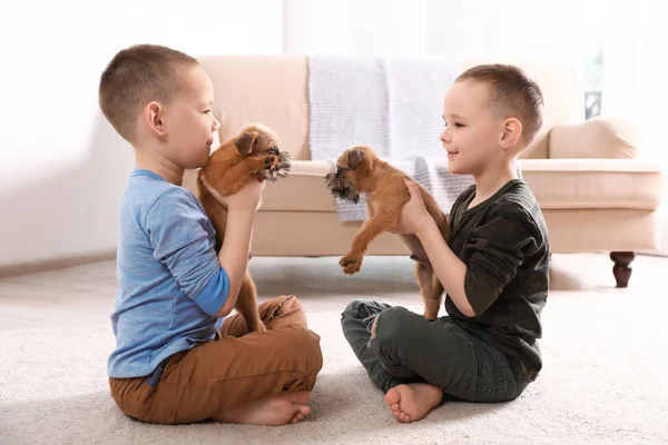 自宅で面白いブリュッセルグリフォン犬とかわいい男の子の肖像画。忠実な友人 — ストック写真