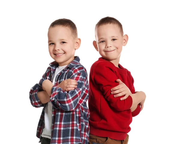 Portret van schattige tweelingbroers op witte achtergrond — Stockfoto