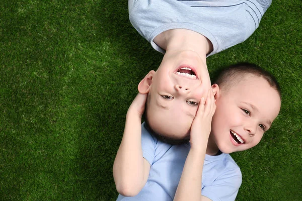 Retrato de irmãos gêmeos bonitos na grama verde, vista superior. Espaço para texto — Fotografia de Stock