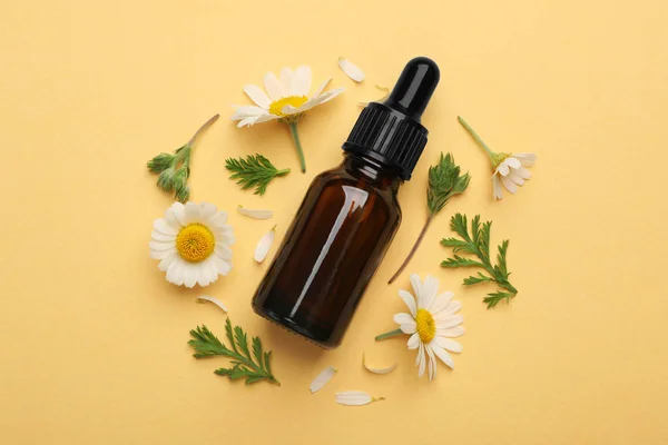 Composición plana con flores de manzanilla y botella cosmética de aceite esencial sobre fondo de color — Foto de Stock