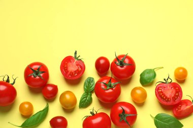 Renk arka plan üzerinde kiraz domates ile Düz yatıyordu kompozisyon. Metin için alan