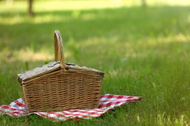 Parkta yeşil çim üzerinde battaniye ile hasır sepeti, metin için alan. Yaz piknik