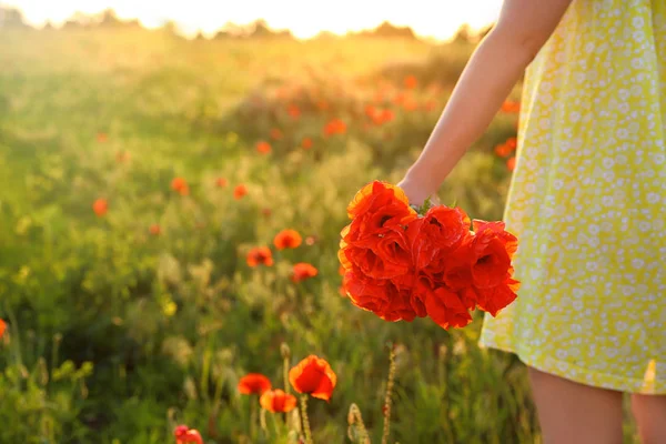 Vrouw met boeket klaprozen in het veld op zonnige dag, close-up. Ruimte voor tekst — Stockfoto