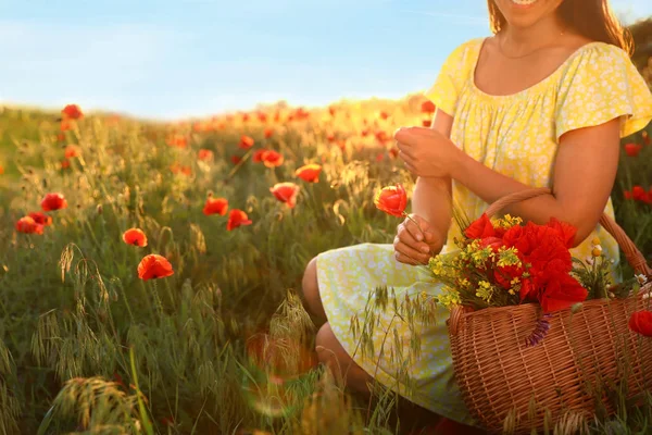 Wanita dengan keranjang bunga liar di ladang bunga poppy yang diterangi matahari, closeup. Ruang untuk teks — Stok Foto