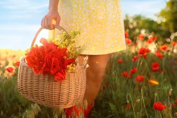 Vrouw met mand van papavers en wilde bloemen in het veld op zonnige dag, close-up — Stockfoto