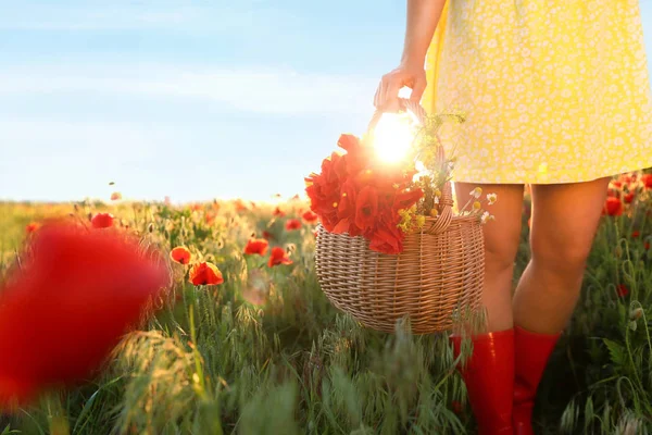 Wanita dengan keranjang bunga poppy dan bunga liar di lapangan yang diterangi matahari, tutup. Ruang untuk teks — Stok Foto