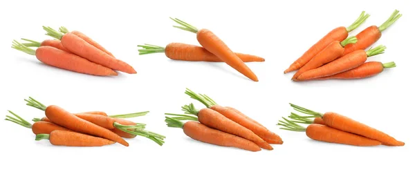 Conjunto de zanahorias frescas maduras sobre fondo blanco —  Fotos de Stock