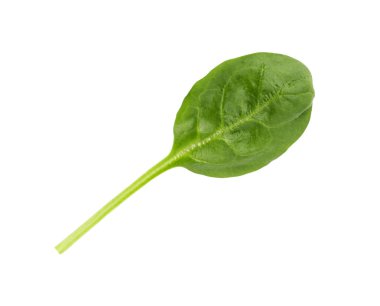 Ispanak taze yaprak beyaz izole, üst görünümü