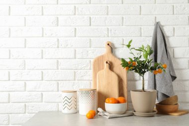 Tuğla duvara karşı masada saksı narenciye ağacı ve meyve ile kompozisyon. Metin alanı