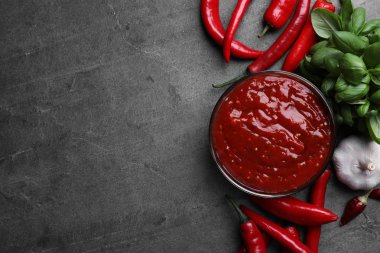 Gri masada biber sosu ve malzemeler kase ile düz yatıyordu kompozisyon. Metin alanı