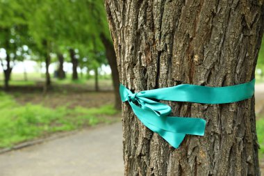 Ağaç açık havada, metin için alan bağlı Teal Ribbon