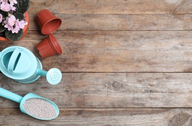 Ahşap masada bahçe araçları ve kimyasal gübre ile düz yatıyordu kompozisyon. Metin alanı