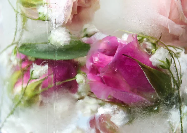 Verre d'eau avec glaçons et fleurs, gros plan — Photo