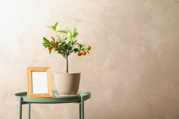 Agrumi in vaso e cornice vuota sul tavolo sullo sfondo di colore. Spazio per testo — Foto Stock
