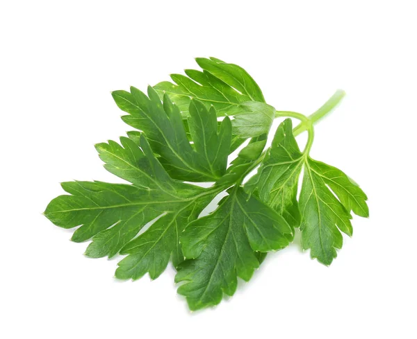 Leaves of fresh tasty parsley on white background — Stock Photo, Image