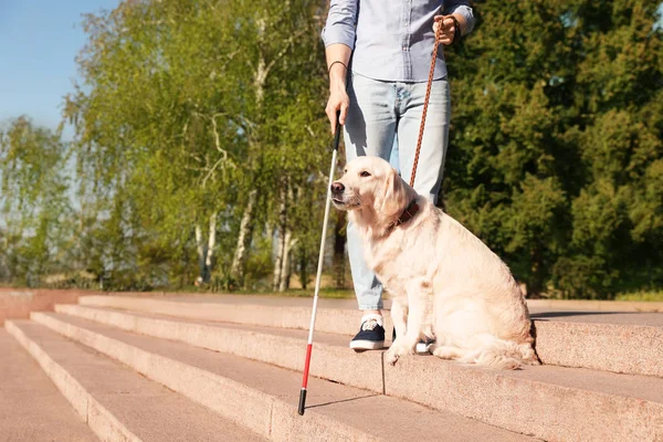 Cão guia ajudando a pessoa cega com cana longa descendo escadas ao ar livre. Espaço para texto — Fotografia de Stock