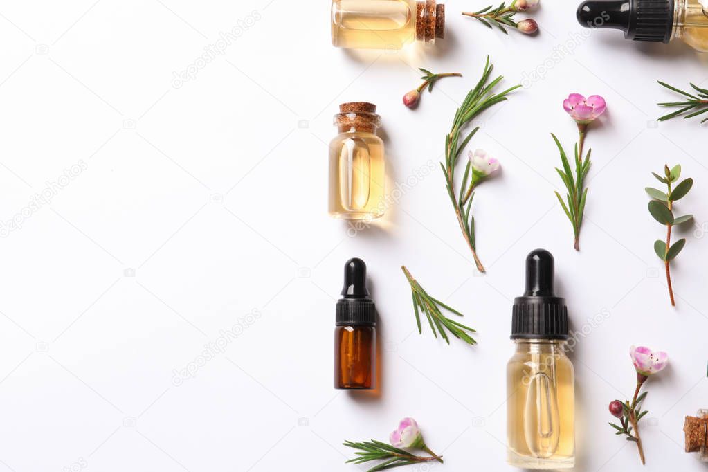 Flat lay composition with bottles of natural tea tree oil on white background