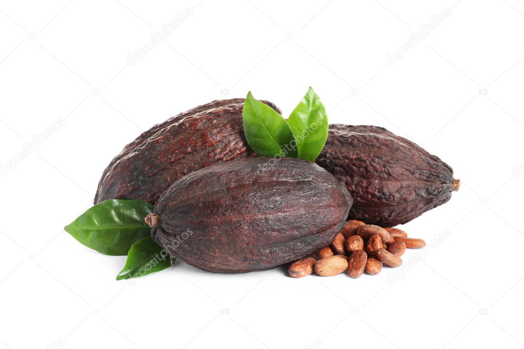 Cocoa pods, leaves and beans on white background