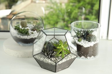 Pencere eşiklerinde farklı sulu cam florariumlar