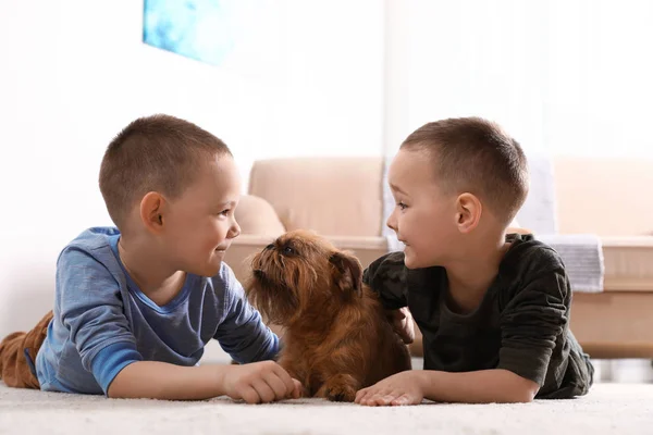 Portrait de mignons garçons avec un drôle de chien Griffon de Bruxelles à la maison. Des amis loyaux — Photo