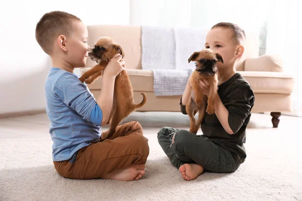 Ritratto di ragazzi carini con simpatici cani Brussels Griffon a casa. Amici leali — Foto Stock