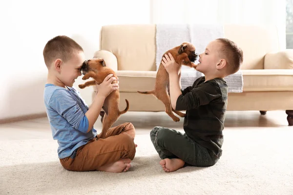 Portrait de garçons mignons avec des chiens Griffon Bruxelles drôles à la maison. Des amis loyaux — Photo