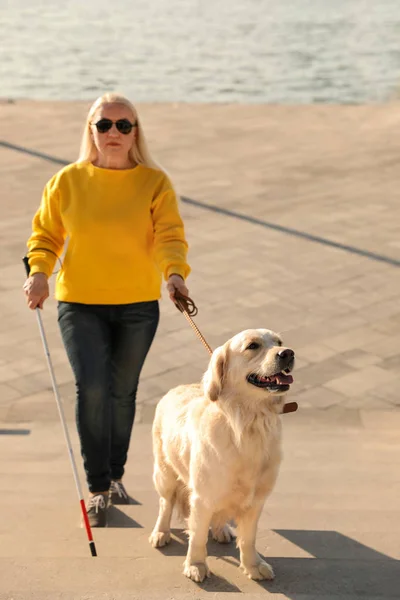 Perro guía ayudando a ciegos con bastón largo subiendo escaleras al aire libre — Foto de Stock