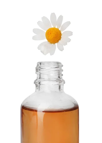 Эфирное масло капает из лепестка ромашки в стеклянную бутылку на белом фоне — стоковое фото