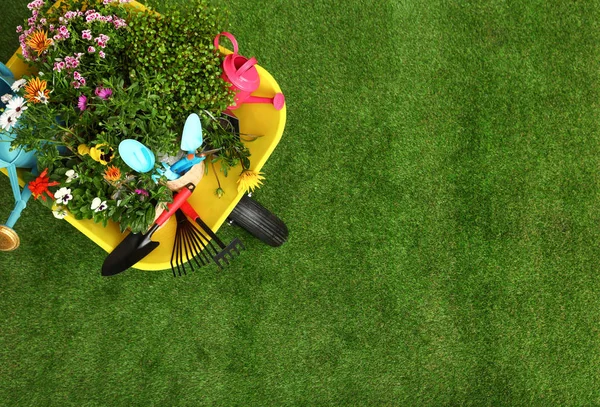 Carrinho de mão com flores e ferramentas de jardinagem na grama, vista superior. Espaço para texto — Fotografia de Stock