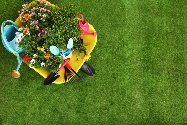 Carrinho de mão com flores e ferramentas de jardinagem na grama, vista superior. Espaço para texto — Fotografia de Stock