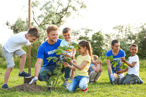Barn plantera träd med volontärer i parken — Stockfoto