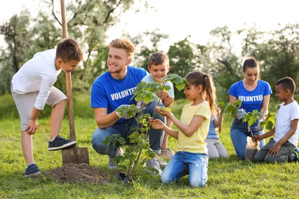 Kids planting trees with volunteers in park