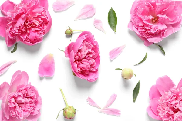 Gyönyörű pünkösdi rózsa virágok fehér háttér, felülnézet — Stock Fotó