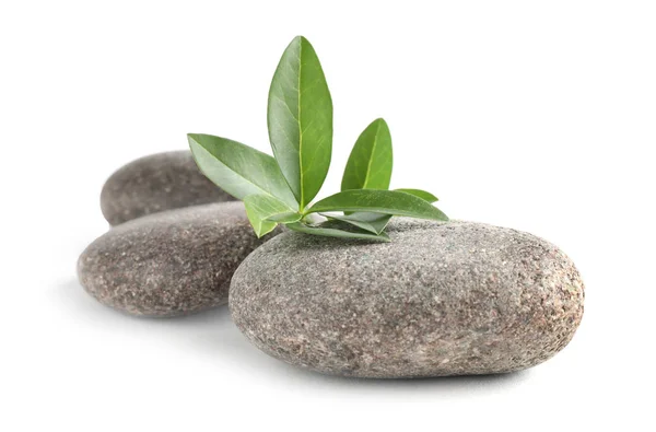 Spa stenen met groene tak geïsoleerd op wit — Stockfoto