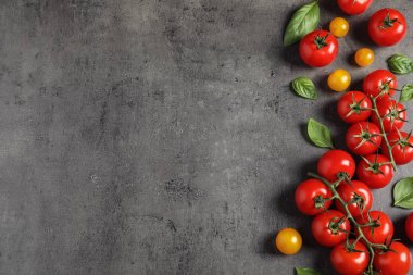 Olgun kiraz domates ve fesleğen yaprakları ile düz yatıyordu kompozisyon renk arka plan üzerinde. Metin için alan
