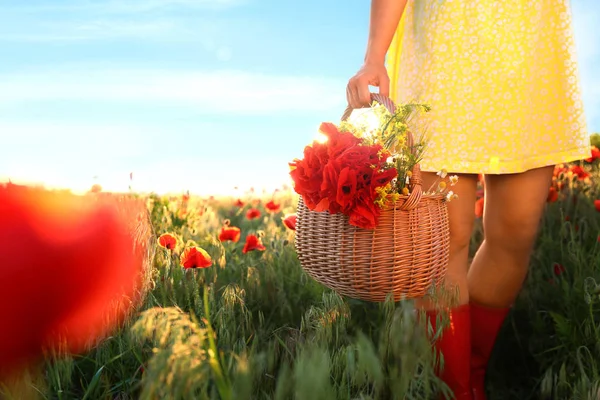 Vrouw met mand van papavers en wilde bloemen in het zonovergoten veld, close-up. Ruimte voor tekst — Stockfoto