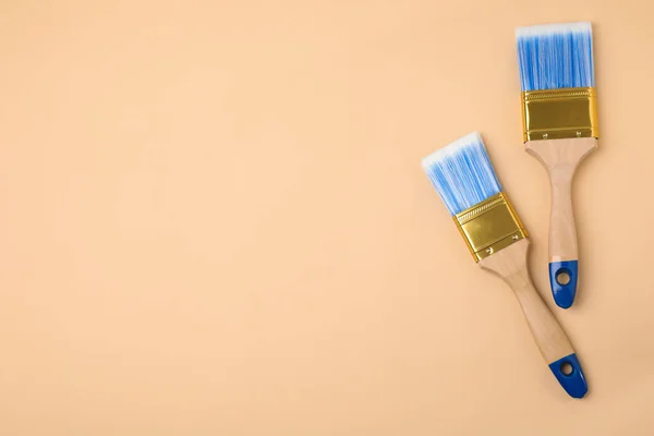 Paint brushes on color background, top view. Space for text — Stock Photo, Image