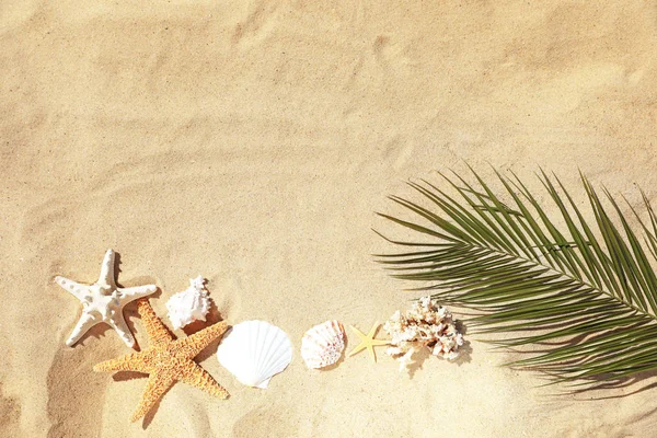 Platte lay compositie met Palm blad en schelpen op zandstrand. Ruimte voor tekst — Stockfoto