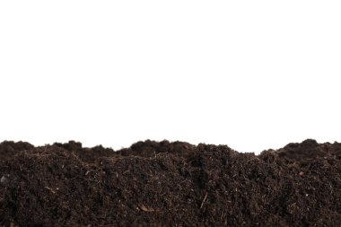 Layer of fresh soil isolated on white. Gardening time clipart