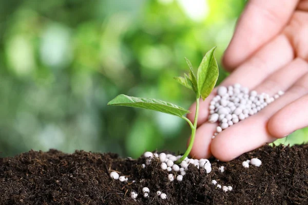 Femeie fertilizarea plantei în sol pe fundal încețoșat, închiderea cu spațiu pentru text. Timp de grădinărit — Fotografie, imagine de stoc