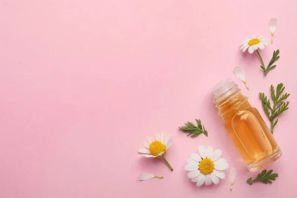 Composición plana con flores de manzanilla y botella cosmética de aceite esencial sobre fondo de color. Espacio para texto — Foto de Stock