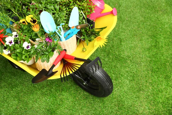 Carriola con fiori e attrezzi da giardinaggio su erba, sopra vista. Spazio per testo — Foto Stock