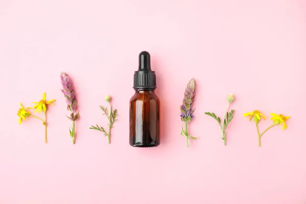 Botella de aceite esencial y flores silvestres sobre fondo de color, disposición plana — Foto de Stock