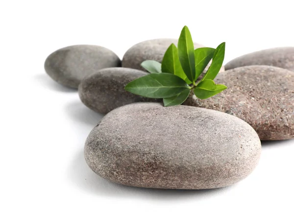 Spa stenen met groene tak geïsoleerd op wit — Stockfoto