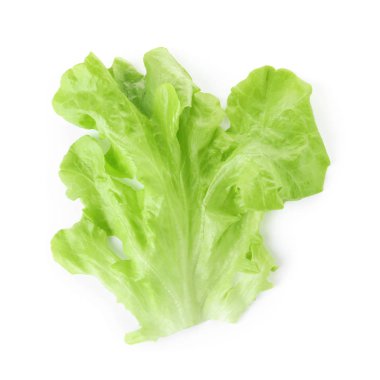 Beyaz, üst görünümde izole Burger için taze marul yaprağı