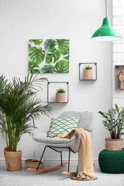 Egzotik houseplants ile şık modern oda iç